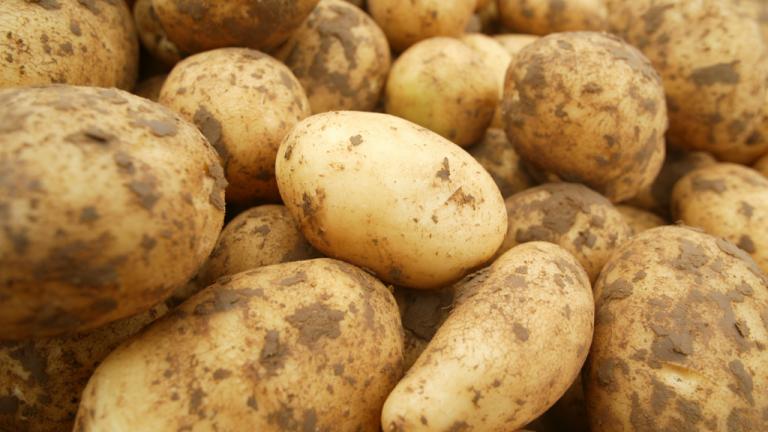 Potatoes