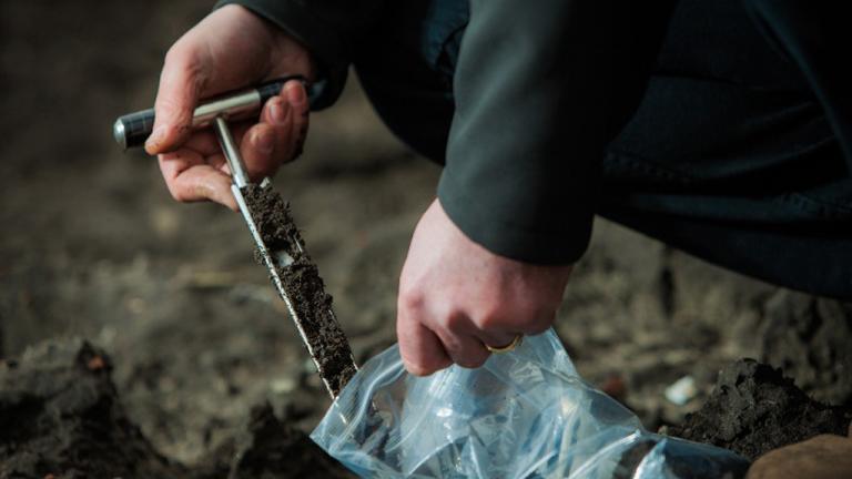 Person doing a soil test
