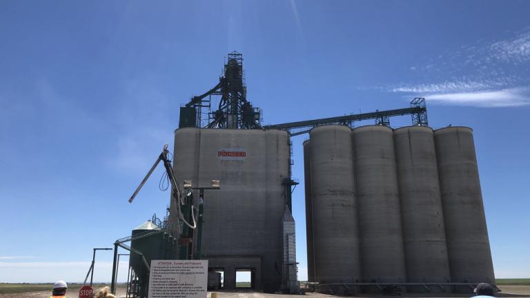 Grain Receival and Out-loading Facility Canada
