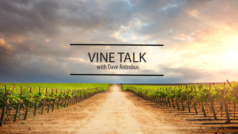 Vine Talk with Scott Mathew