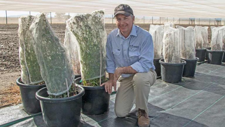 Dr Michael Walsh, Director of Weed Research at The University of Sydney
