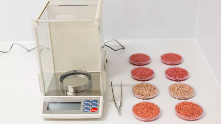 The Seedcare Institute Wagga Wagga visual assessment of treated seed