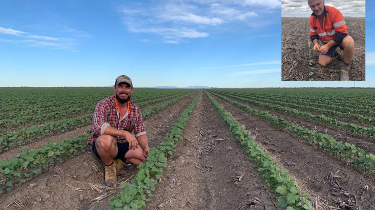 The FastStart Awards recognised excellence in cotton establishment, through a partnership between CSD and Syngenta.