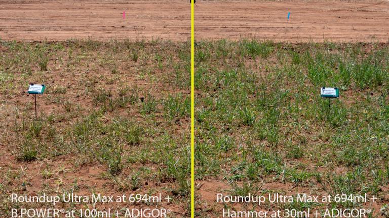 B-POWER is Syngenta's solo-formulation of butafenacil, designed to create a clean seed bed for winter crops.