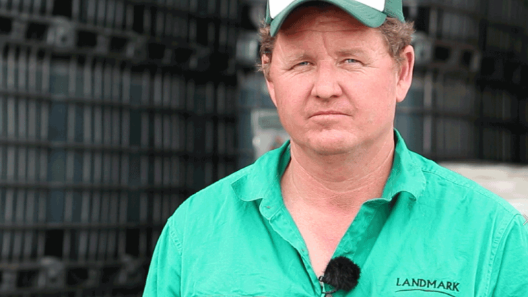 Jamie Taylor