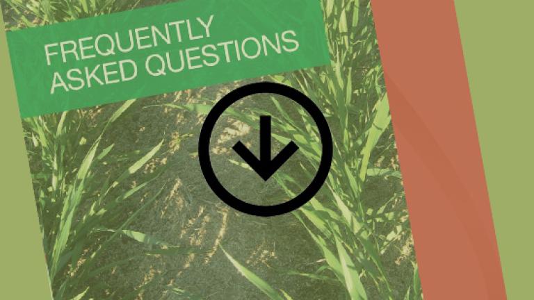 CALLISTO FAQ
