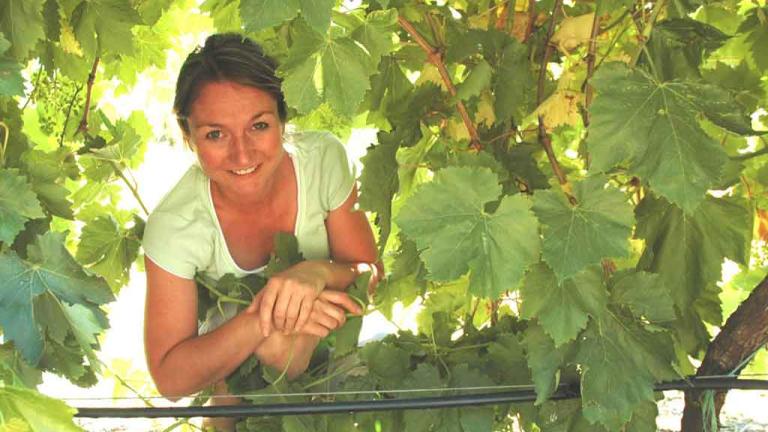 Vine Talk columnist and Syngenta Technical Services Lead Dr Brandy (Belinda) Rawnsley.