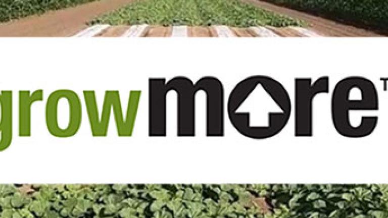 Growmore teaser2