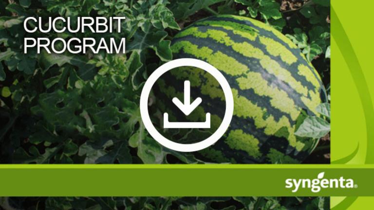 cucurbit-program_small-teaser