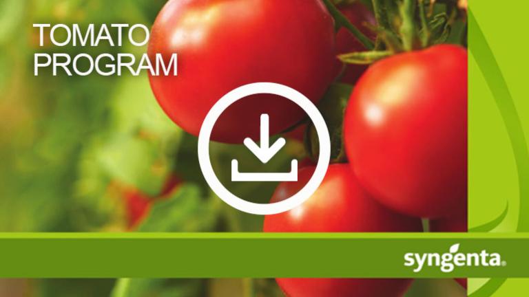 tomato-program-_small-teaser