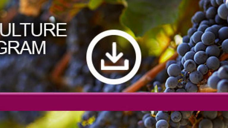 viticulture-program_large-teaser