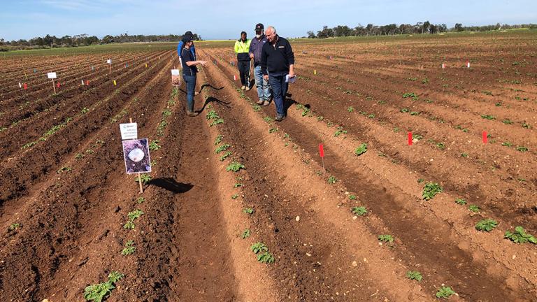 growmore_adelaide-plains-site_news-banner