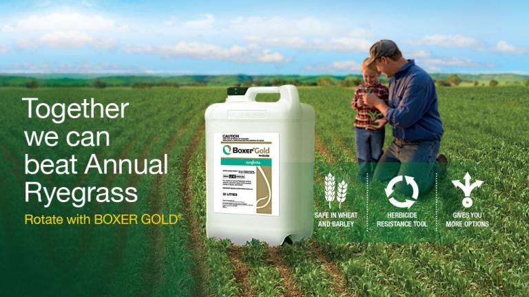 Syngenta Boxer Gold advert