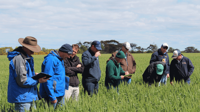 tour group in a field 