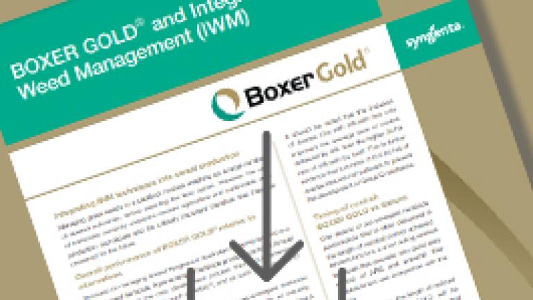 Boxer Gold early intergrated weed brochure