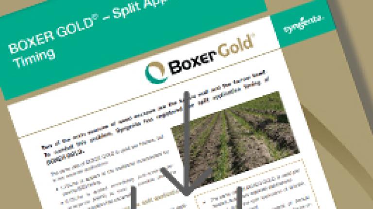 Boxer Gold split application download