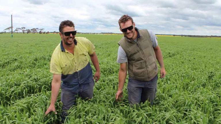two men grabbing crops 