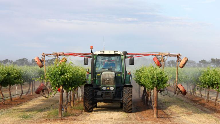 tractor spraying vineyard 