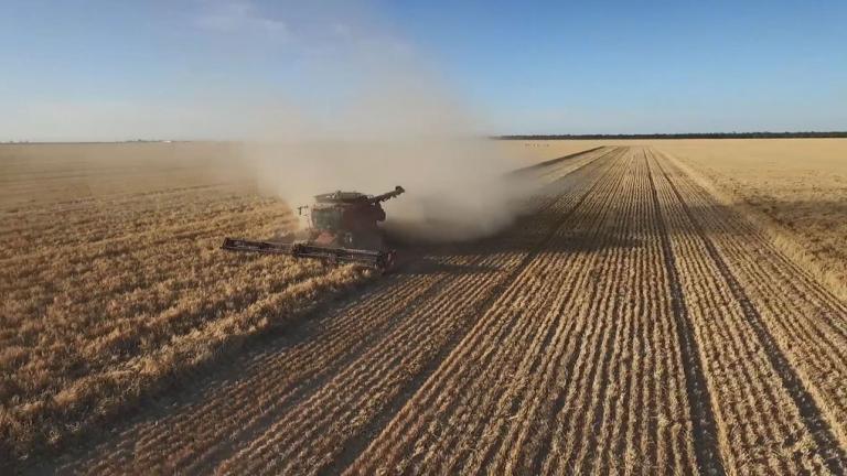 dust cropper