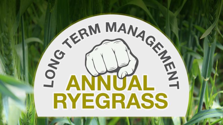 Annual Ryegrass long term management banner