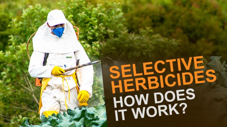 selective herbicides banner