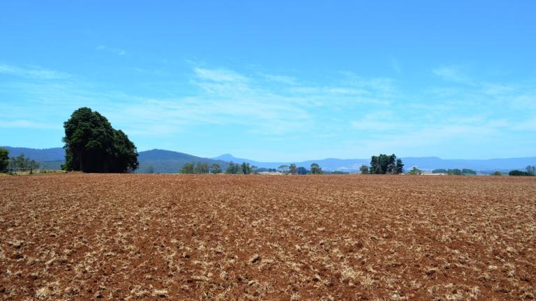 soil 