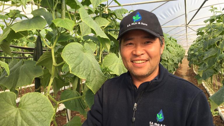 Recognised for his efforts in the 2016 Syngenta Growth Awards,Tommy Le has developed a niche tribal cucumber variety that is helping his local Vietnamese farming community thrive.