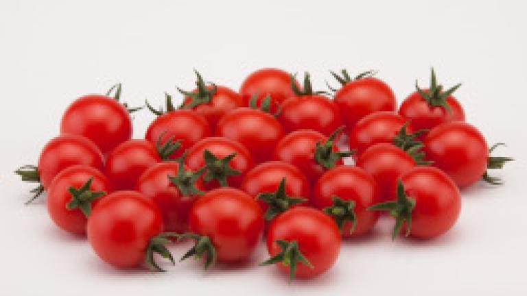 Robinson tomato