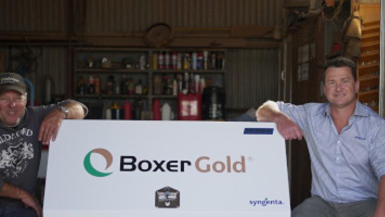 Dennis Humphries Boxer Gold Promotion