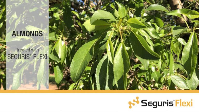 Seguris Flexi Almonds Treated