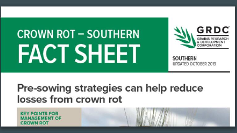 Crown rot southern Fact Sheet
