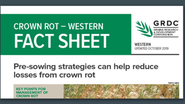 crown Rot Western Fact Sheet