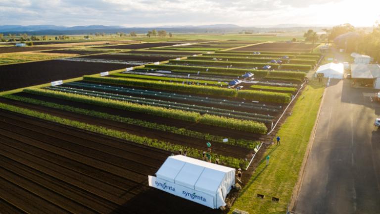 Syngenta GrowMore Gatton 2022