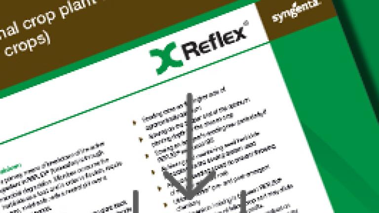 REFLEX Recropping Recommendations