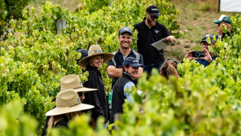 2023 Viticulture Syngenta Learning Centre Story