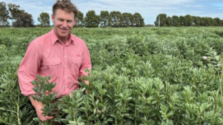 Elders Agronomist Chris Toohey