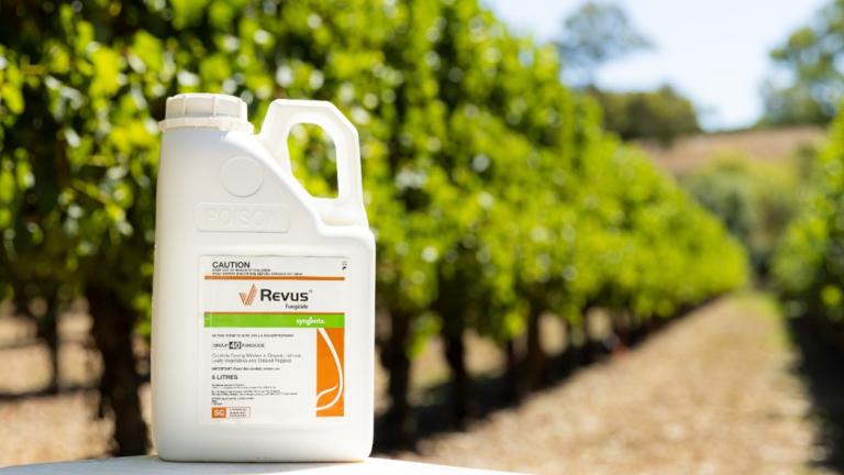 REVUS fungicide in vineyard