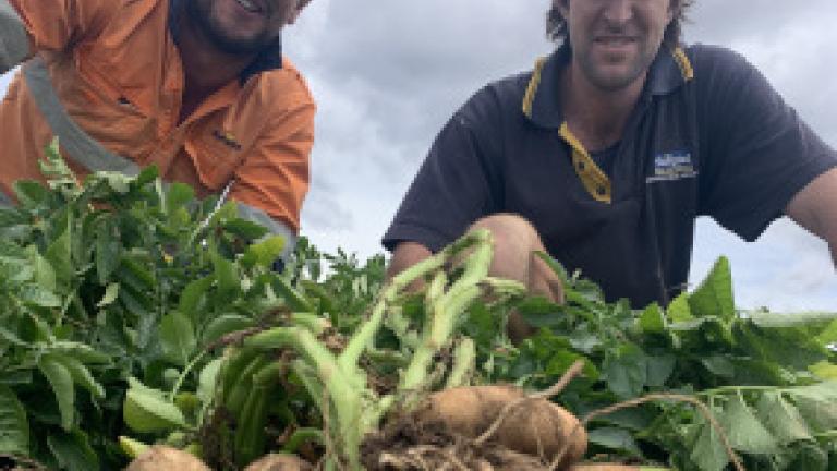 Simplot Farming Agronomists Patrick Groenewold and Rhys Beattie