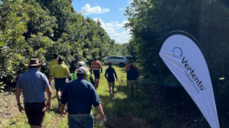 Syngenta Vertento field walk
