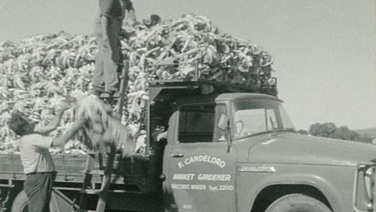loaded_market_truck_1132x637.jpg