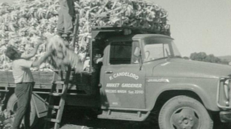 Frank Candeloro Tripod Farmers 