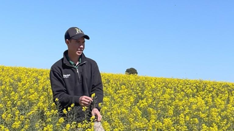 Nutrien agronomist Angus Slack