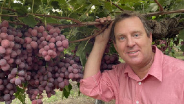 Elders Mildura Horticultural Agronomist Jeremy Adams