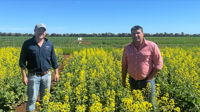 Elders Agronomist Benjamin Romeo with Syngenta Territory Sales Manager Alec Duffy