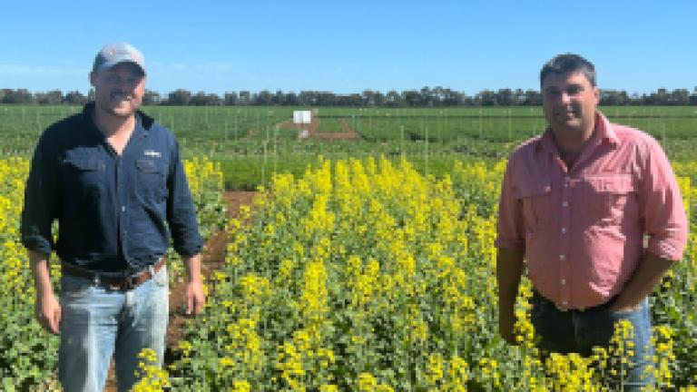 Elders Agronomist Benjamin Romeo with Syngenta Territory Sales Manager Alec Duffy