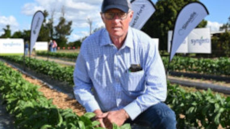 Agronomist Des May, of Delta Ag