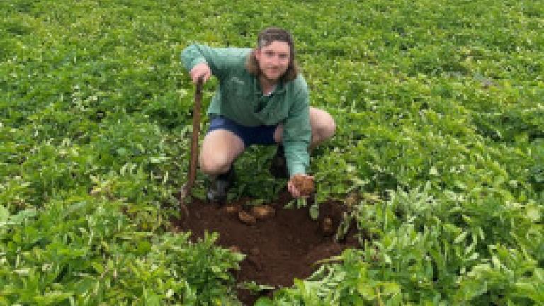 Nutrien Ag Solutions Agronomist Jason Taylor in potato field
