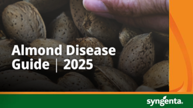 Almond Disease Guide