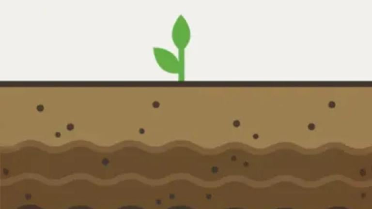 biologicals agriculture Nutrient use efficiency products