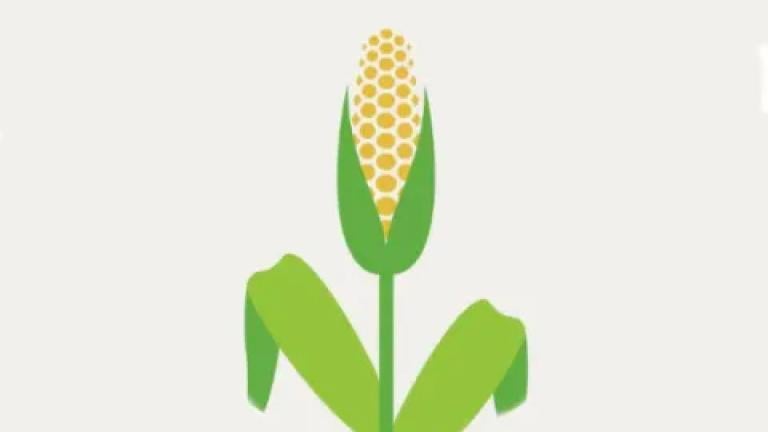 biologicals agriculture biostimulants